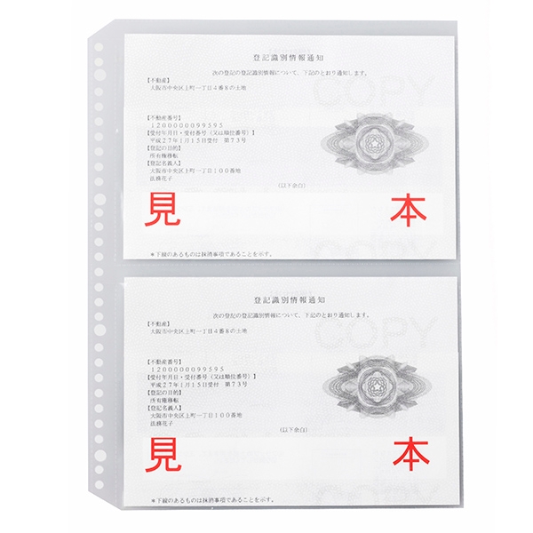【No.2300】30穴ファイル専用ビニール　2ポケット　※1セット30枚