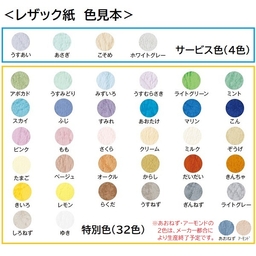 【名入：前回同様】A3表紙レザック＜175＞［特別色］