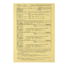 【No.T12B】確認記録用紙<商業登記用>黄色 A4 ※司法書士専用